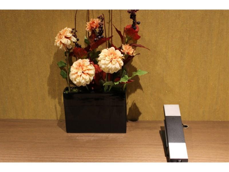 アーバイン京都 四条大宮 ホテル 3*